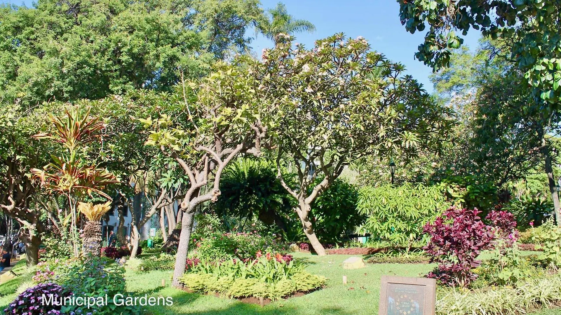 Ourmadeira - Vintage Garden Apartment Funchal