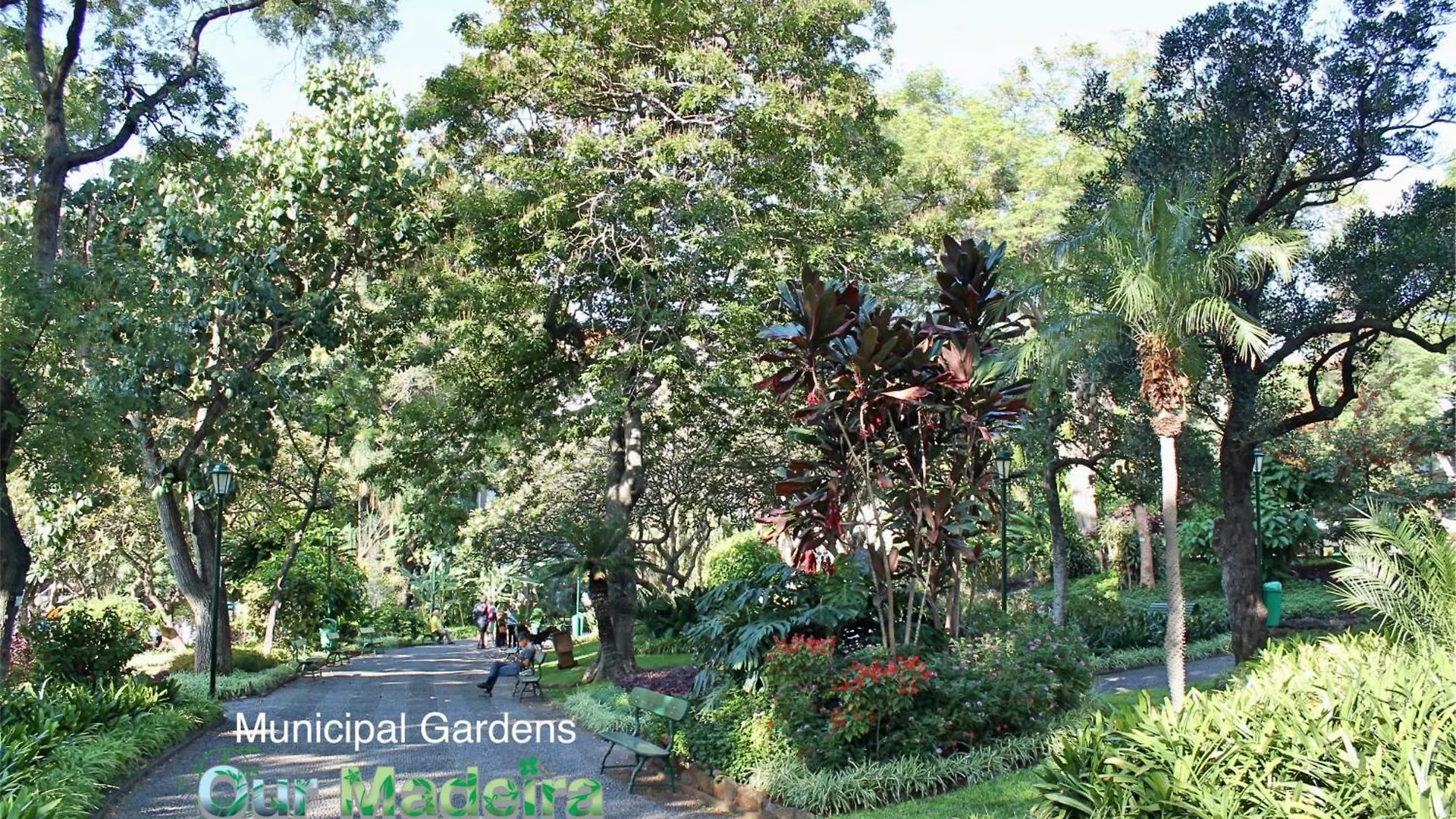 Ourmadeira - Vintage Garden Apartment Funchal