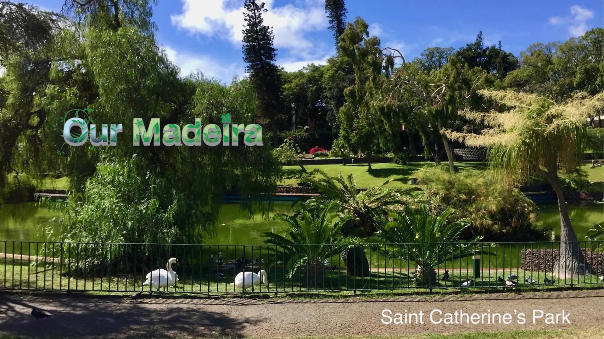 Ourmadeira - Vintage Garden Apartment Funchal  Portugal